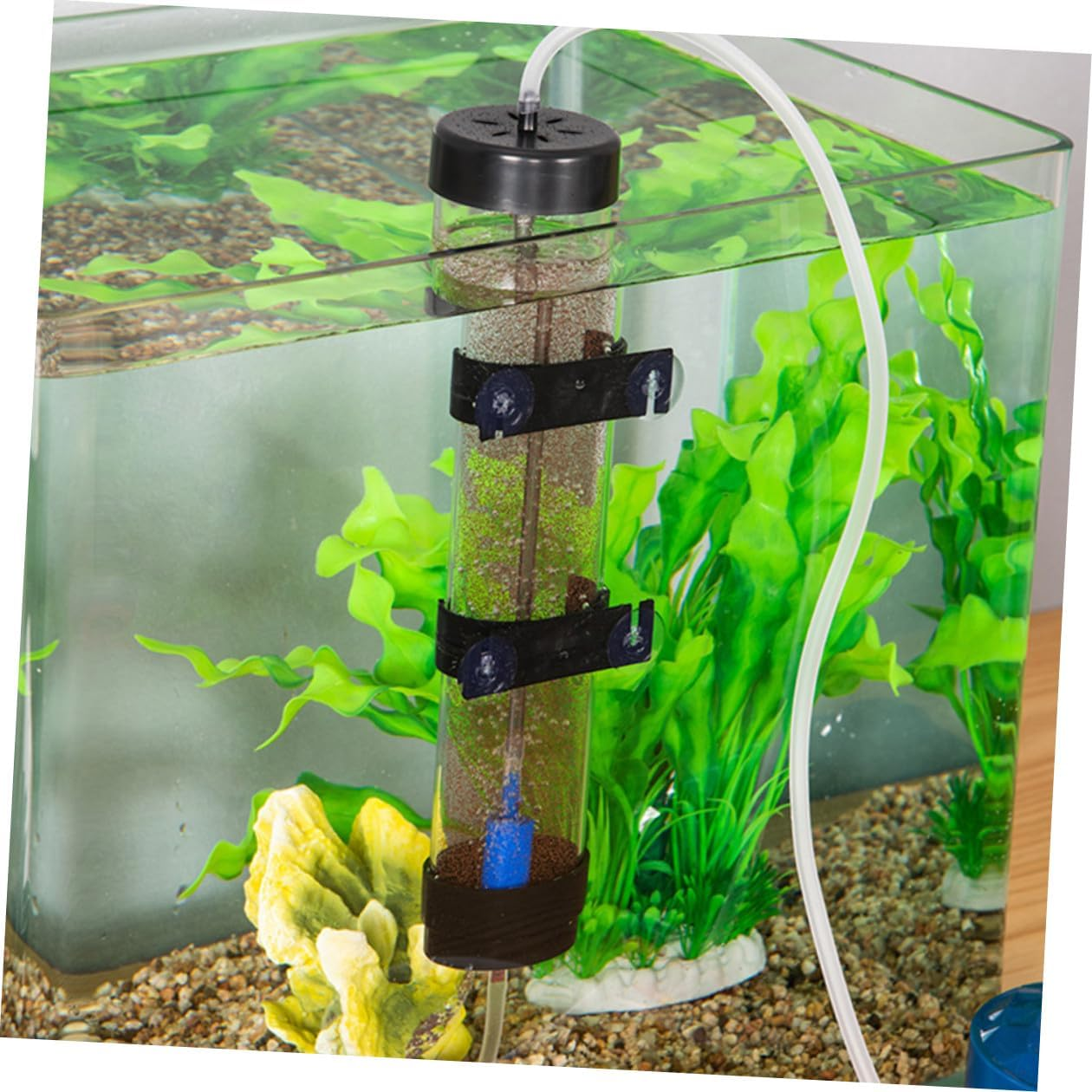 OHPHCALL Shrimp Egg Incubator Box for Aquarium Breeding Practical Hatchery Container for Brine Shrimp Eggs Easy to Clean and Use Suitable for Fish and Aquatic Pets image number 1