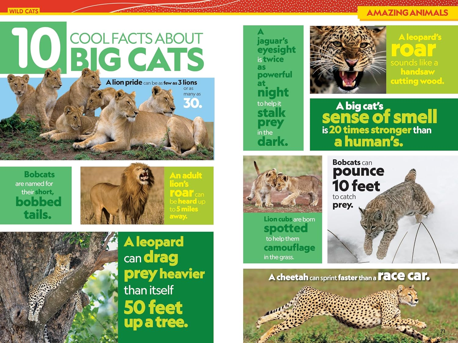 National Geographic Kids Almanac 2026