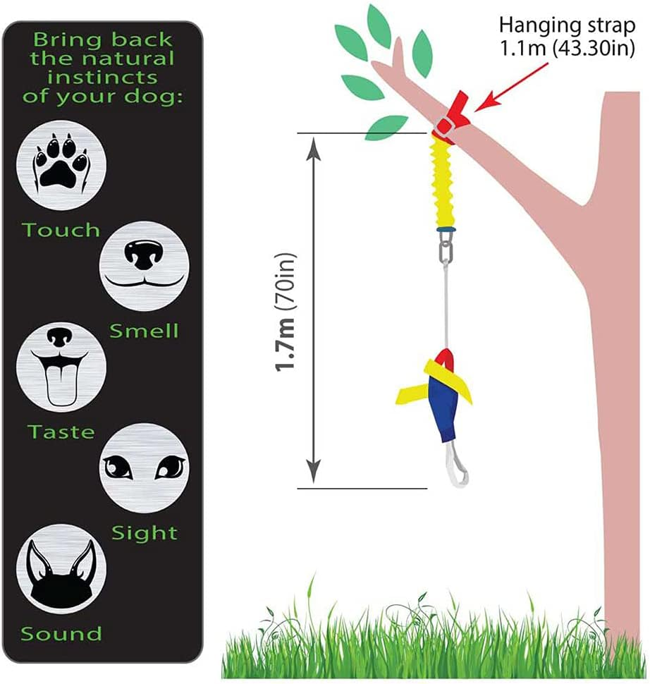 Aussie Dog Heavy Duty Bungie Turbo Chook Tough Interactive Tug Toy for Medium to Large Dogs, Multi-Color image number 2