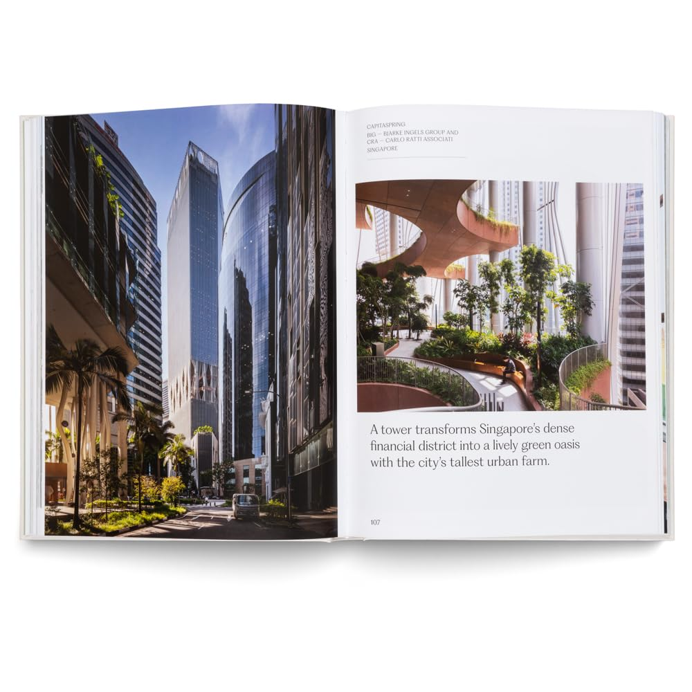 The House of Green: Natural Homes and Biophilic Architecture image number 6