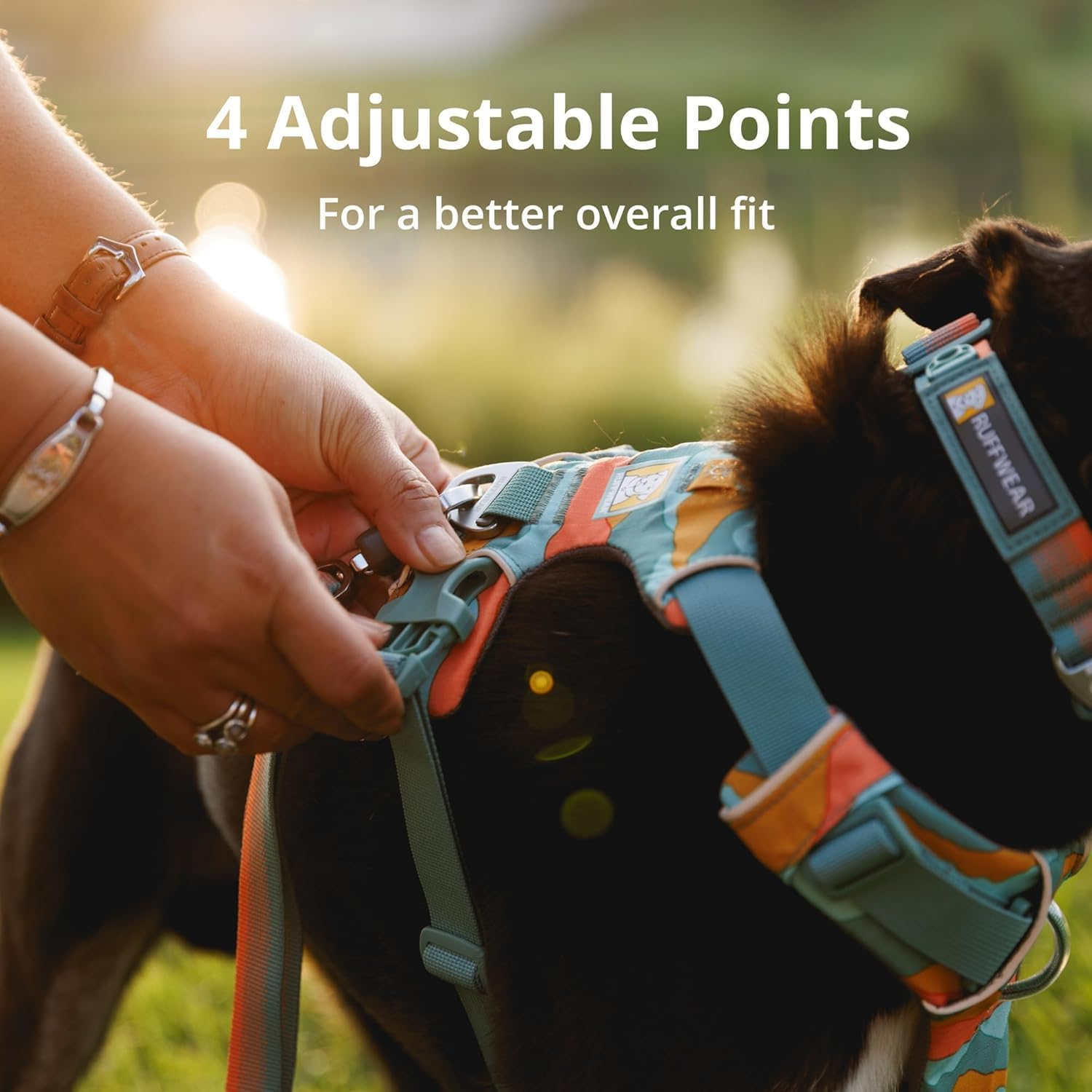 Ruffwear Front Range Harness Blue Pool L/XL image number 5