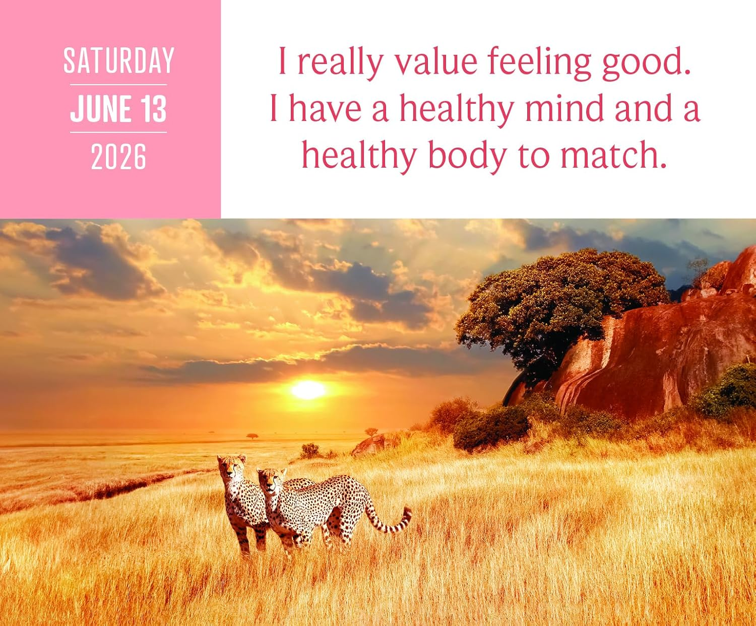 I Can Do It Calendar 2026: 365 Daily Affirmations image number 6