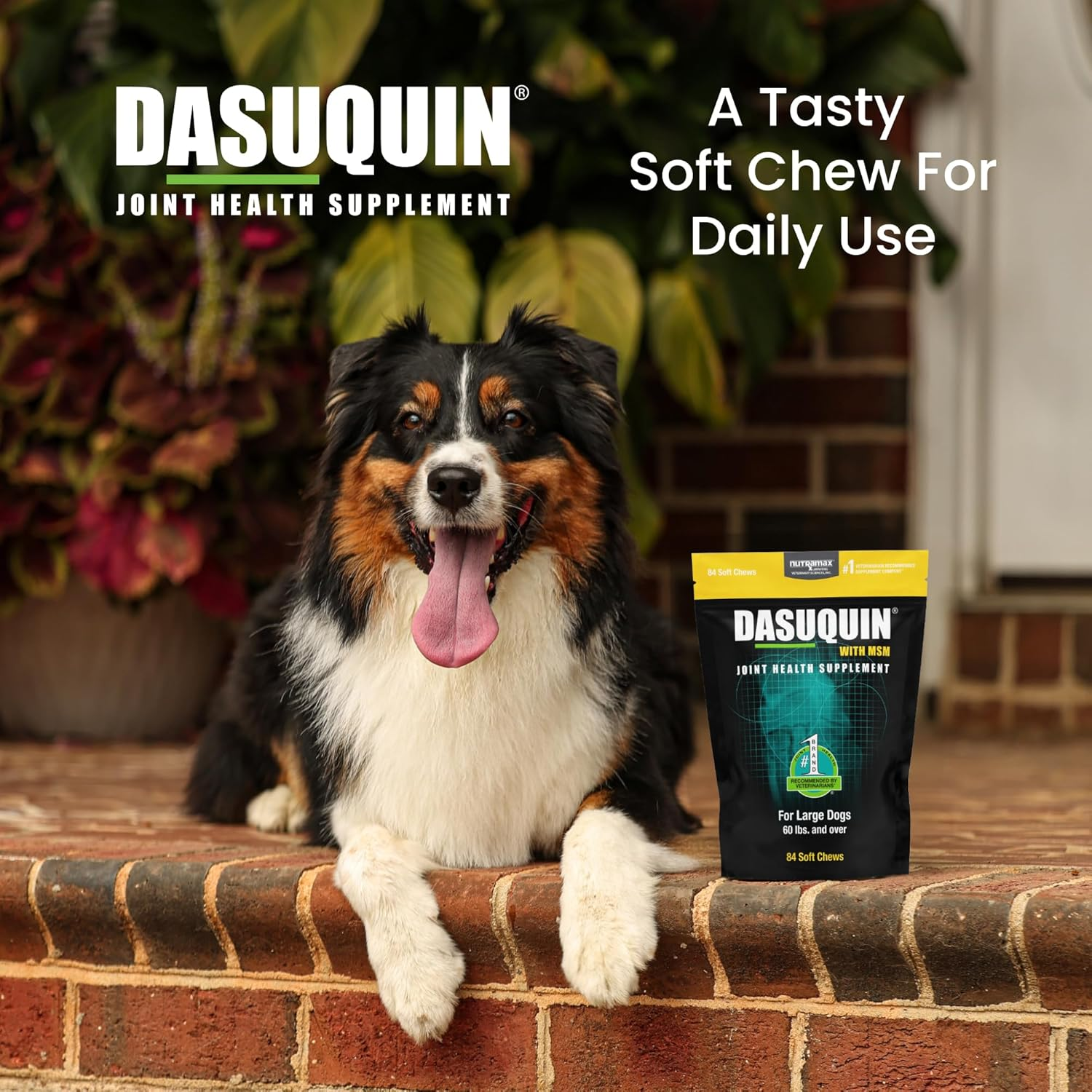 Nutramax Dasuquin with MSM Soft Chews, Large Dog, 84 Count image number 5