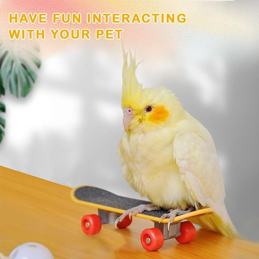 1 Pcs Turtle Toy Mini Skateboard Scooter Accessory,For Bearded Dragon Parrot Reptile Small Animals (Large) image number 4