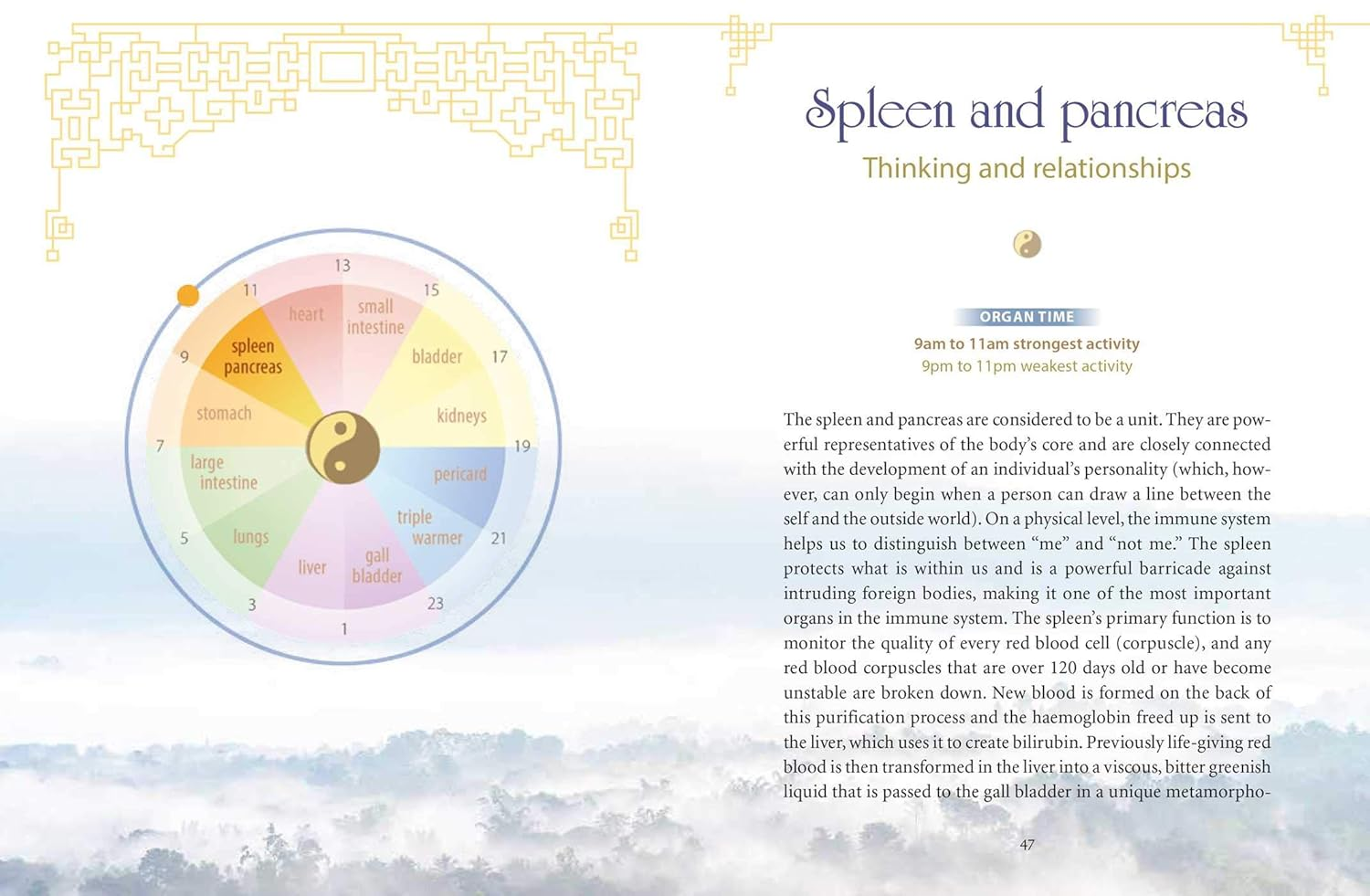 The Body Clock in Traditional Chinese Medicine: Understanding Our Energy Cycles for Health and Healing image number 1