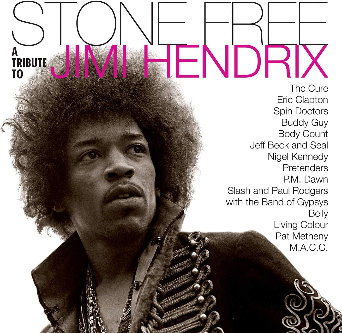 Stone Free: Jimi Hendrix Tribute (Black & Clear Vinyl) (Rocktober)