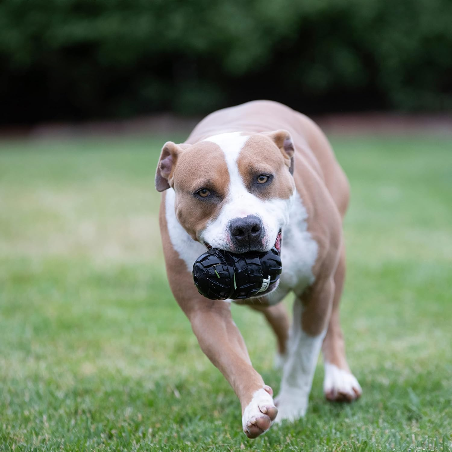 Tonka Tread Feeder Toy, Black, Extra Large