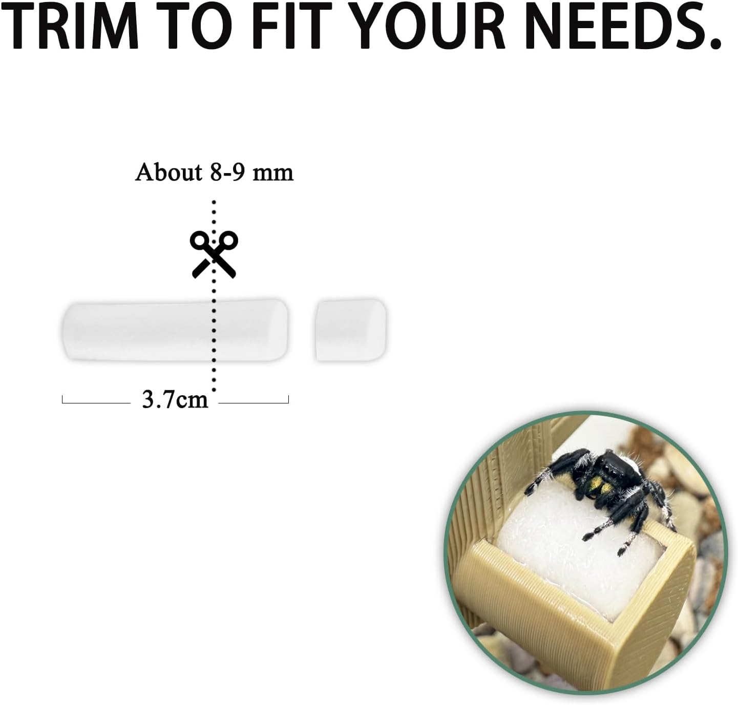 Jumping Spider Water Fountain Replacement Cotton Roll, Absorbent Cotton Swab (30 Pieces) image number 4