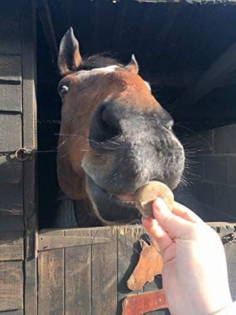 Premier Performance CZ Calming Cookies Variety Pack- 12 Pack