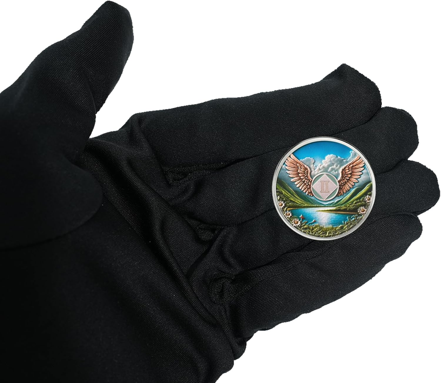 2 Year NA Sobriety Coin - NA Medallions with Wings and Scenic Sobriety Chips NA Coins - Ideal Narcotics Anonymous Gifts for Men ＆ Women Celebrating Recovery and Living Clean image number 6