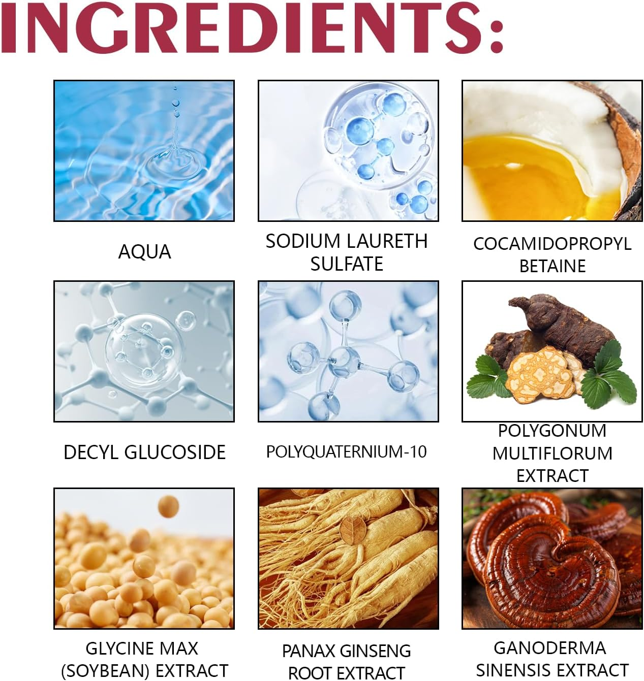 Natural Blonde & Brown Hair Dye Shampoo with Ginseng & Reishi Mushroom &ndash; Ammonia-Free Color-Depositing Shampoo for Women & Men, Covers Gray Hair, Nourishes & Enhances Shine