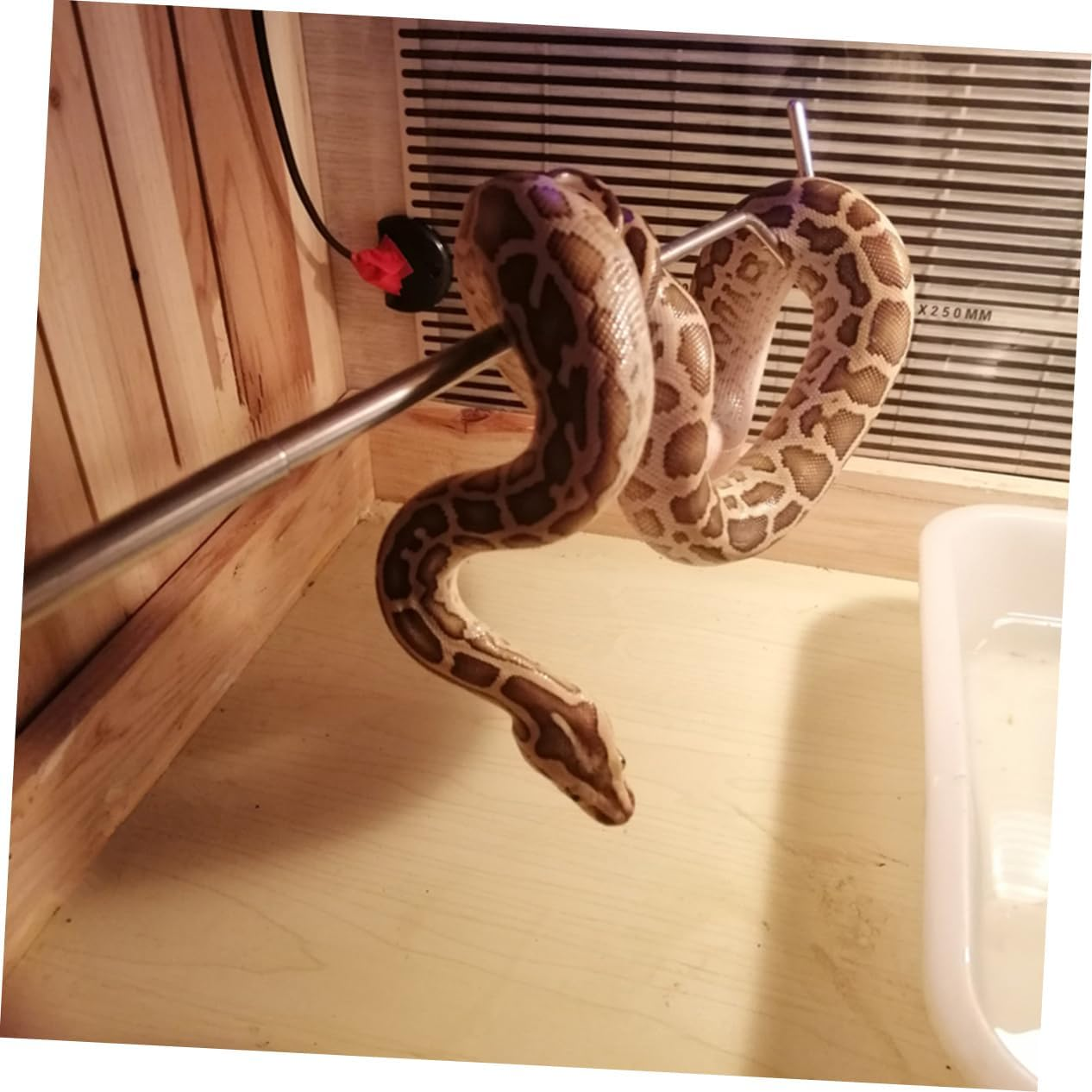 Generic Snake Tool Garbage Picker Spider Reptiles Sewer Cleaning Hook Handle Snake Hooks and Grabbers Snake Hook for Ball Reptile Handling Equipment Reptile Decor Poles Net Rat Kit Silver