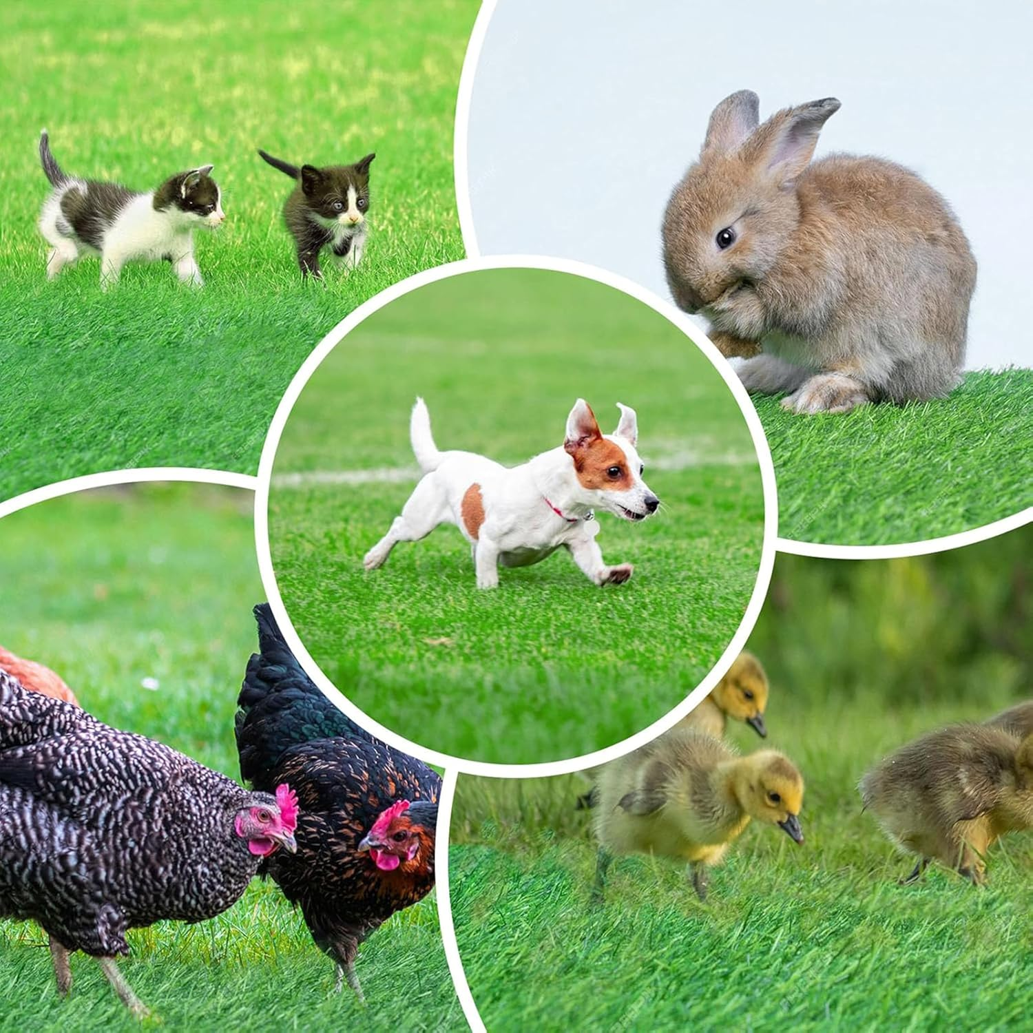 Nesting Pads for Chicken Coop,Artificial Thicken Grass Nesting Box Pads for Chickens,Washable Nesting Pads for Chicken Coop,Egg Laying Case Warming Pad (10*Nesting Pads for Chicken Coop) image number 1