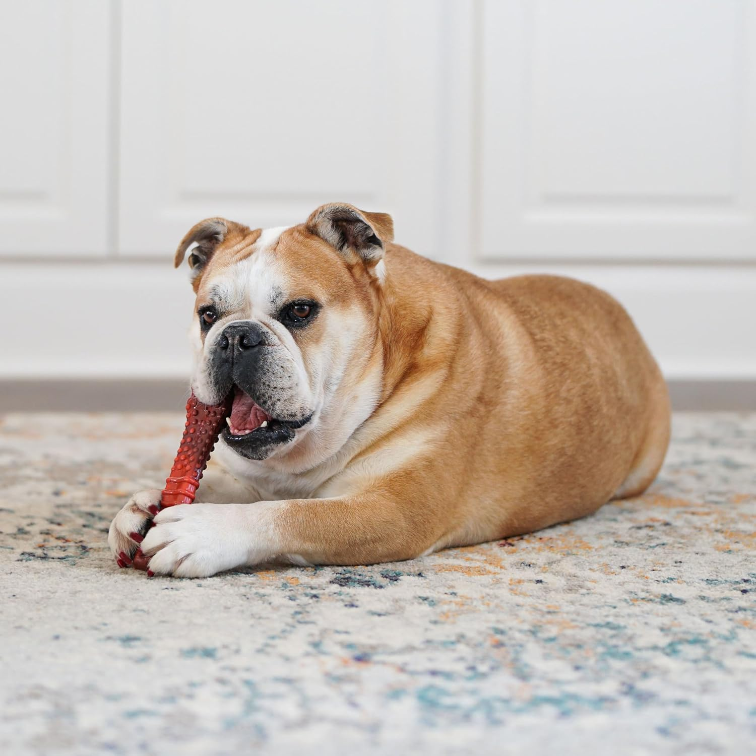 Nylabone Power Chew Flavor Frenzy Knuckle Bone Chew Toy for Dogs, Indestructible Chew Toys for Aggressive Chewers, Beef Jerky Flavor, X-Large/Souper - 50+ Lbs. (1 Count) image number 6