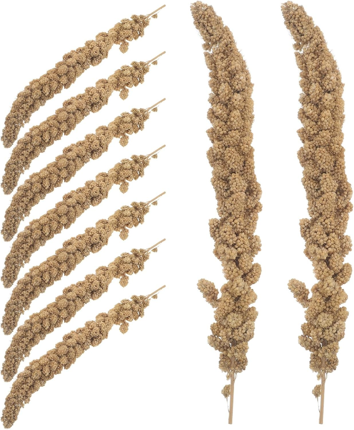 Abaodam Millet Treat for Parakeets and Budgies 500G Natural Dried Millet Sticks Bird Snack Food for Cockatiels Finches Small Pet Supplies image number 1