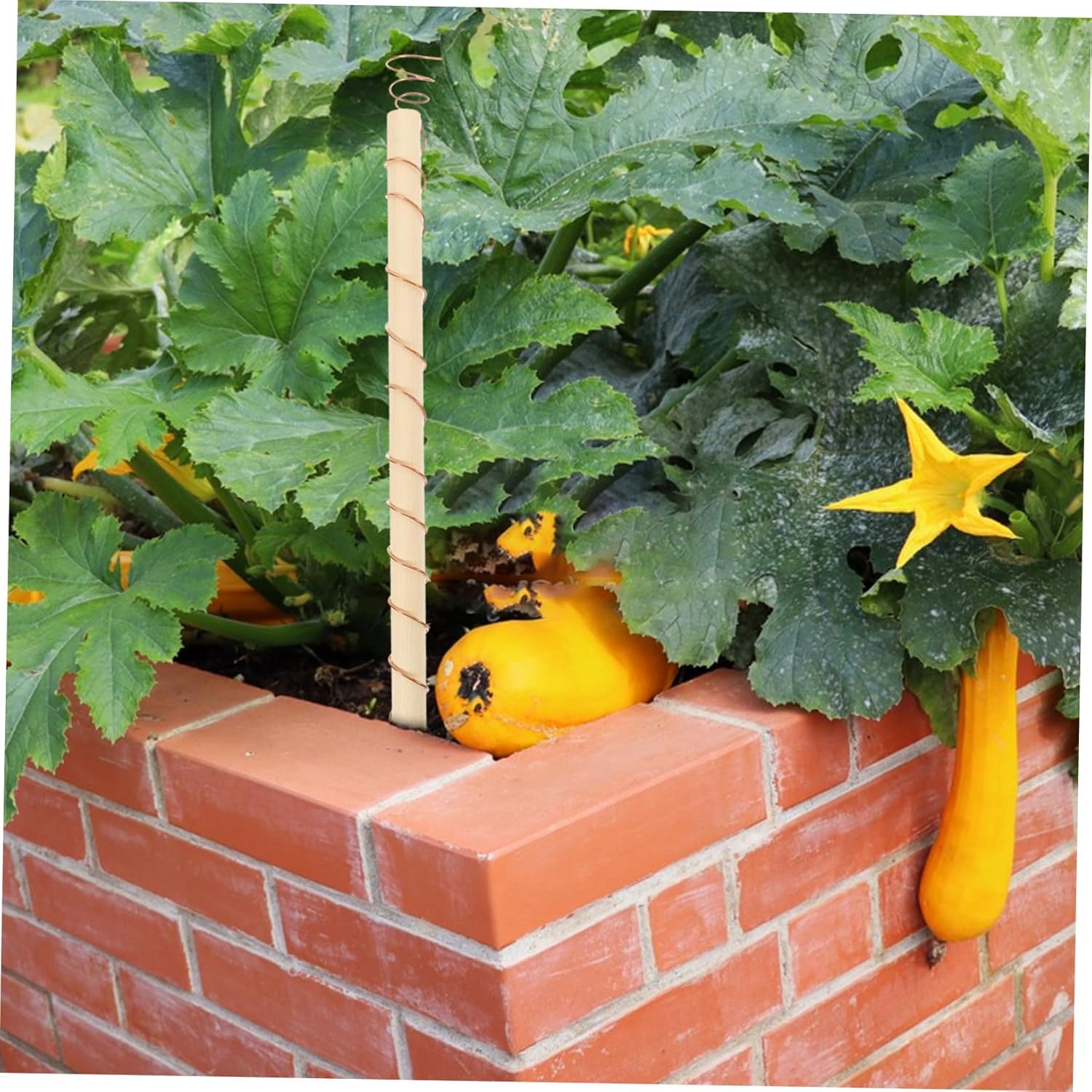 Yardenfun 4Pcs Vegetable Antenna Coils Plant Stake Gardening Coil Antenna for Garden Accessory Optimize Plant Vigor image number 3