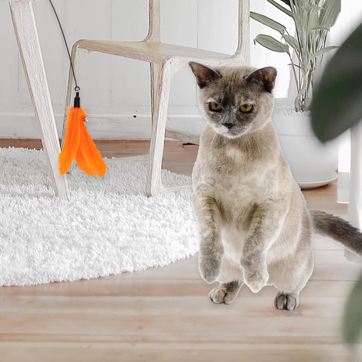 CAPASTEC 2 Pcs Feather Cat Stick Replacement for Interactive Pets Orange image number 1