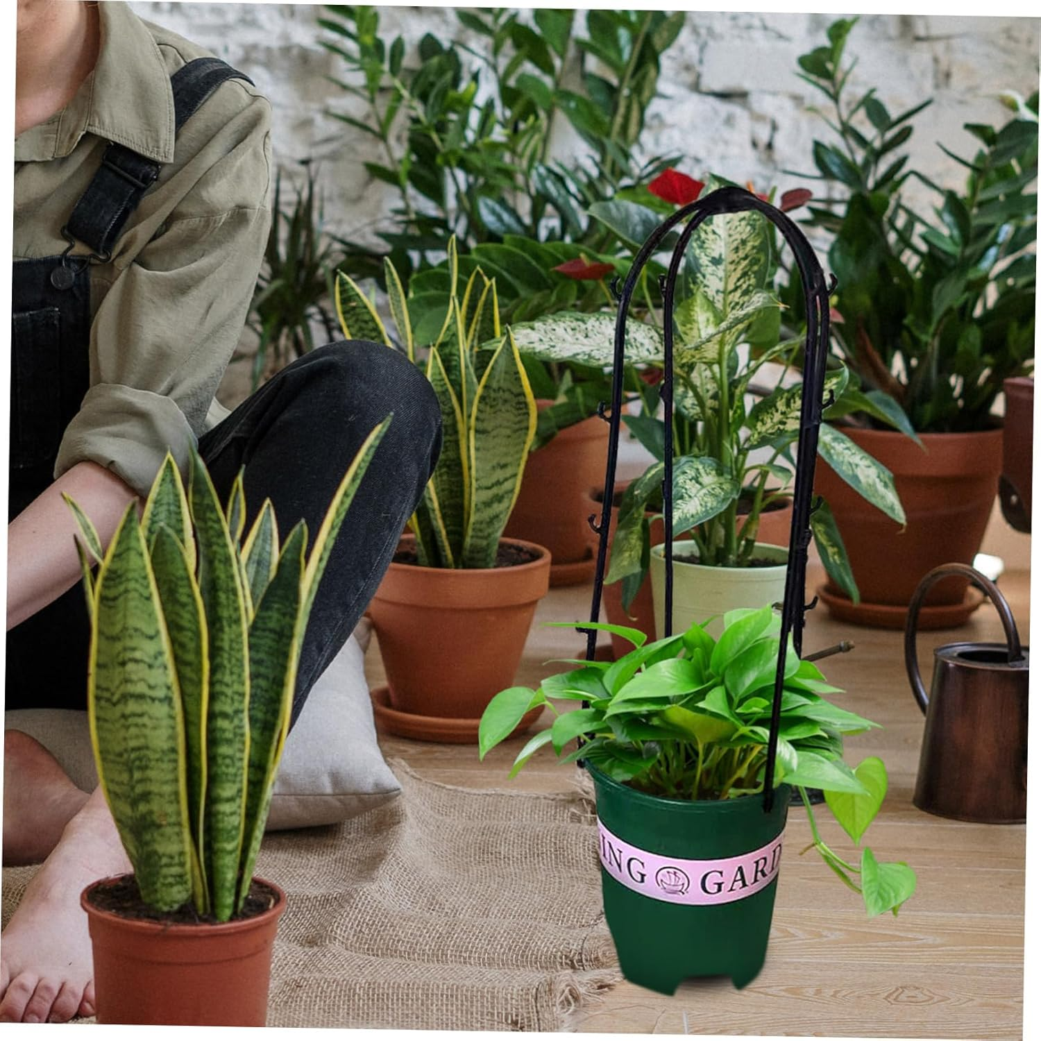 BESPORTBLE 6Pcs Indoor Plant Trellis Plastic Climbing Rack Comfortable Hand Feeling Gardening Plant Accessories image number 2