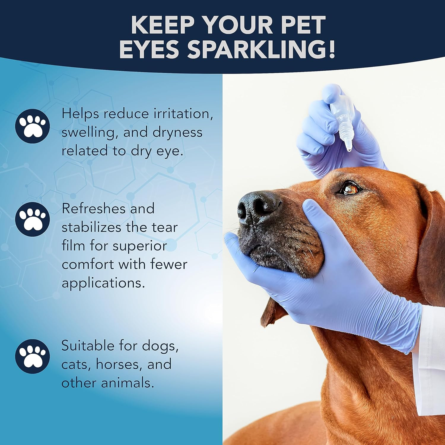 NOVEHA Pet Gel Eye Drops with 0.3% Viscoadaptive Hyaluronan | Eye Solution for Severe Dry Eyes - Long Lasting Hydration, Reduces Nuisance, Swelling & Dryness - Eye Lube for Dogs and Cats (2X10Ml) image number 1