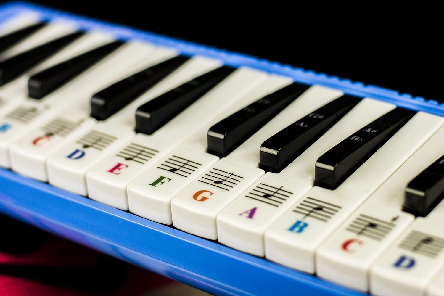 Piano Stickers for 32/37 Key Melodica-Transparent and Removable image number 2