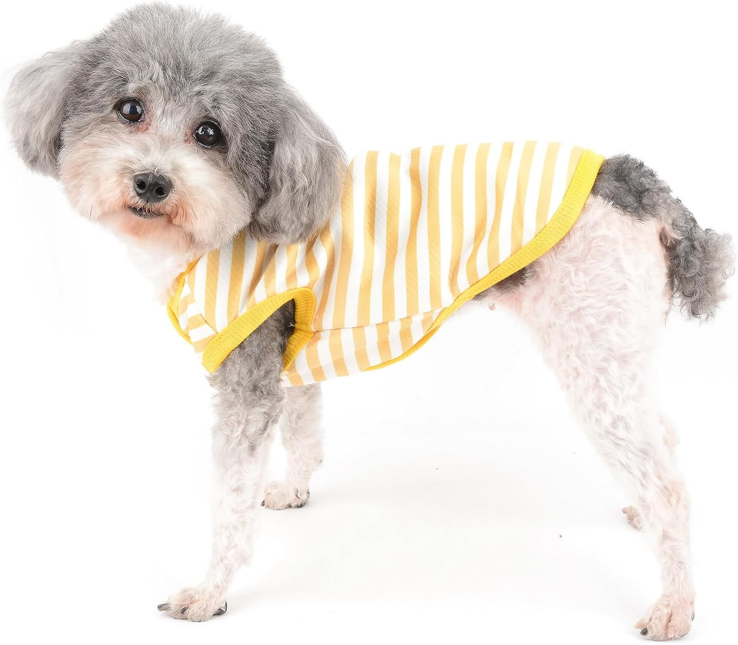 Zunea Striped Dog Winter Jacket Coat with Harness Hole for Small Dogs Cats Warm Fleece Lined Vest Coat Cute Dinosaur Puppy Clothes Cold Weather Pet Girl Boy Apparel for Chihuahua Yorkie Yellow M image number 7