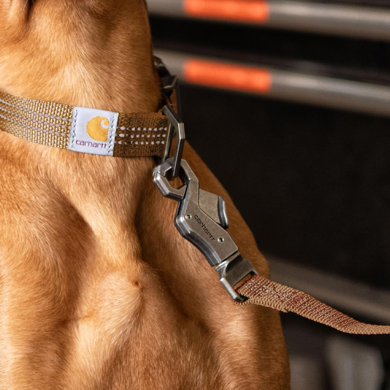 Carhartt Pet Durable Nylon Webbing Leashes for Dogs, Reflective Stitching for Visibility image number 6