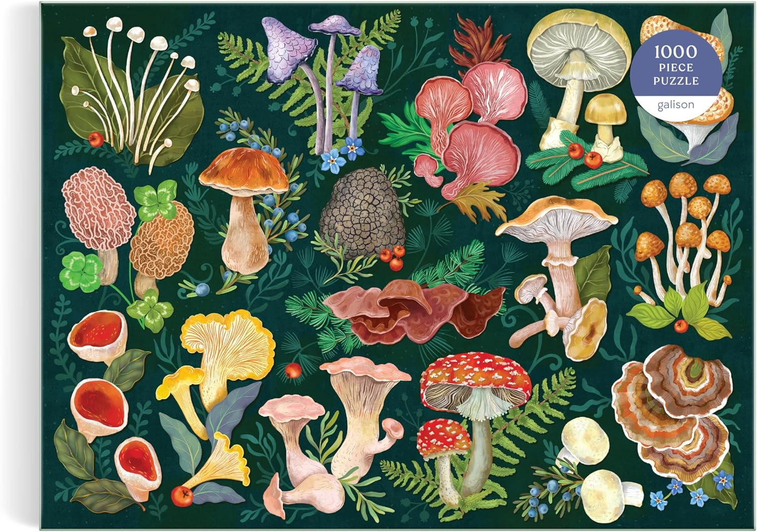 Galison 9780735382268 World of Mushrooms Puzzle (1000-Pieces) image number 3