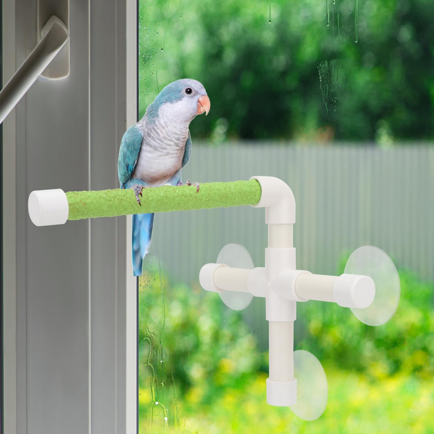 Hypeety Portable Suction Cup Bird Window and Shower Perch Toy for Bird Parrot Macaw Cockatoo African Greys Budgies Parakeet Bath Perch Toy image number 4