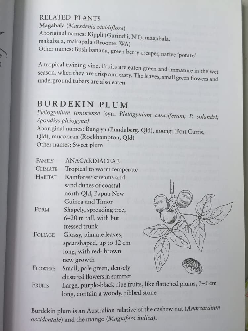 Grow Your Own Bushfoods: a Complete Guide to Planting, Eating and Harvesting