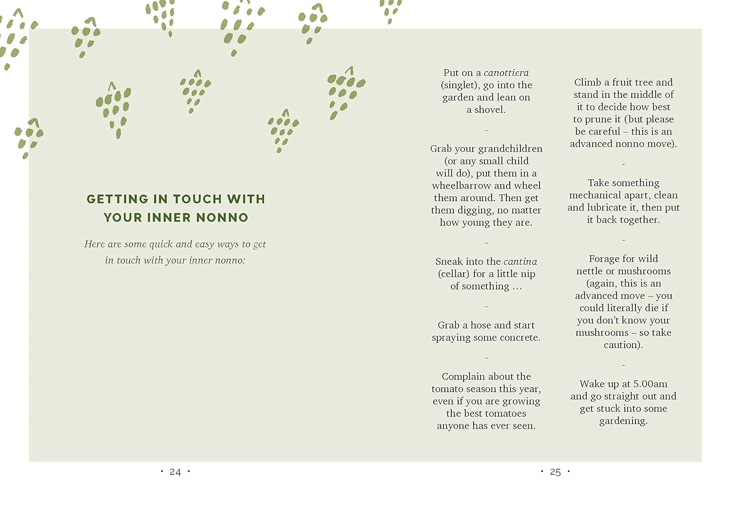 Garden like a Nonno: the Italian Art of Growing Your Own Food image number 2