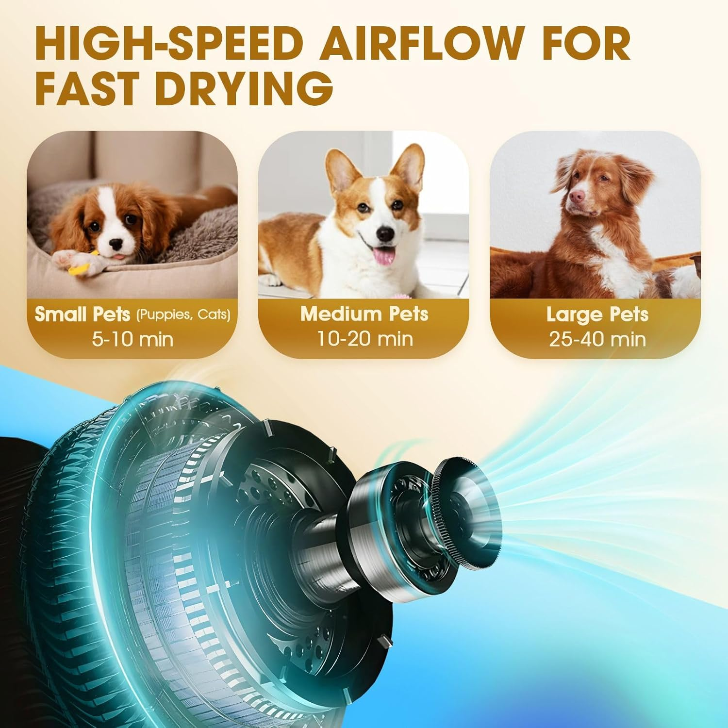 Pet Scene Dog Cat Hair Dryer Pet Grooming Kit with 4 Nozzles Blow Hairdryer Blower Heater Air Blaster Low Noise Adjustable Speed Temperature Negative Ion Wind image number 5