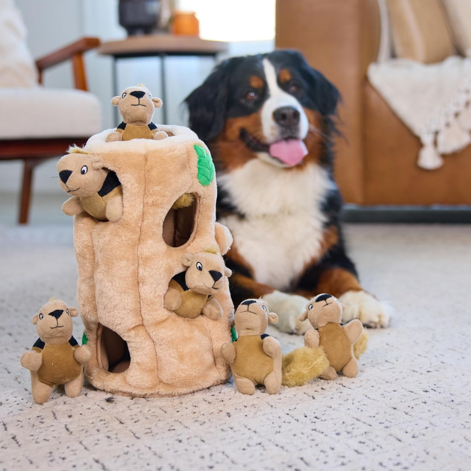 Outward Hound Hide a Squirrel Plush Dog Toy Puzzle, XL image number 6