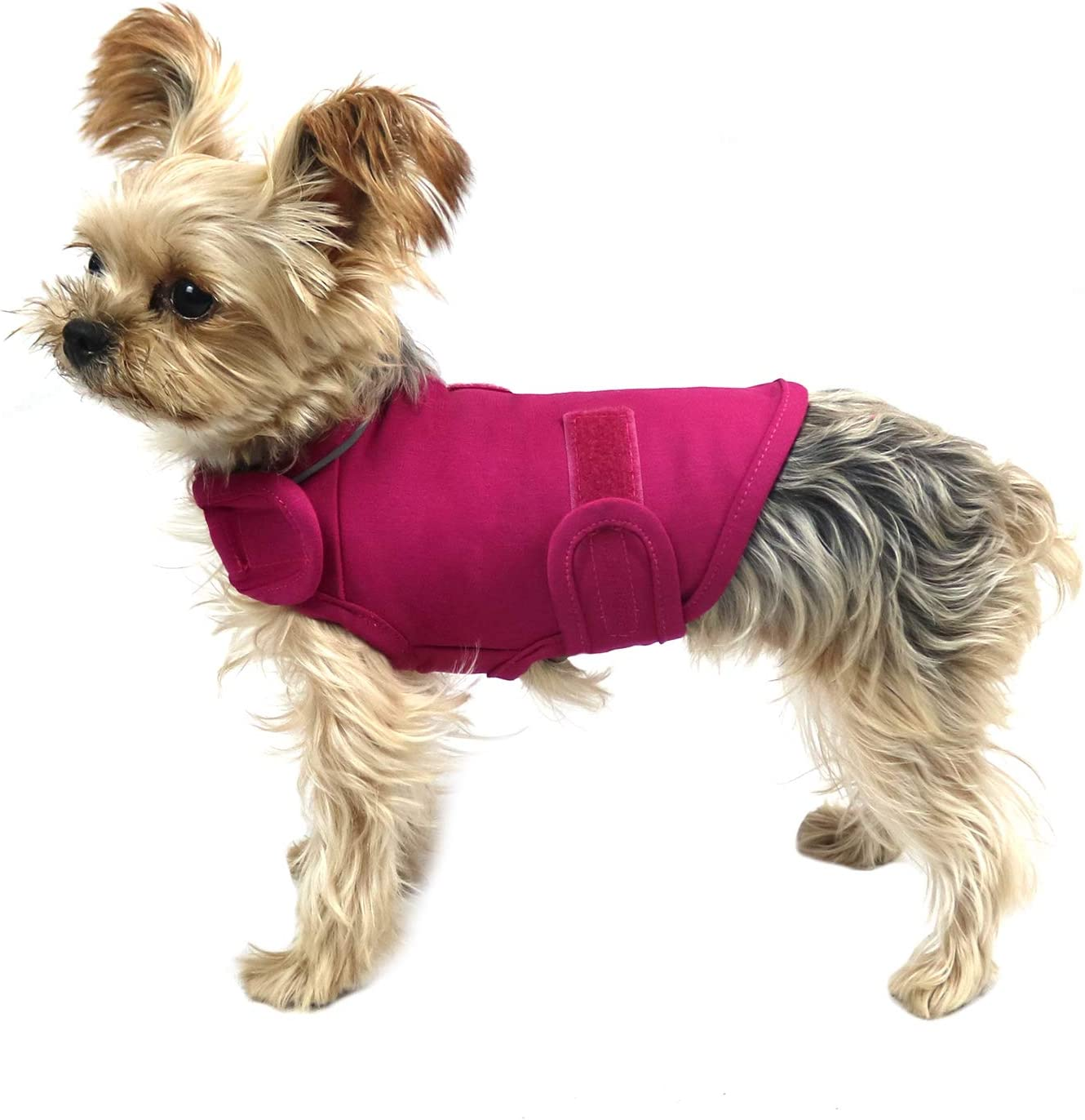 Comfort Dog Anxiety Relief Coat, Dog Anxiety Calming Vest Wrap for Thunderstorm,Travel,4Th of July Fireworks,Vet Visits,Separation Anxiety Relief for Dogs (X-Small (Pack of 1), Rose) image number 6