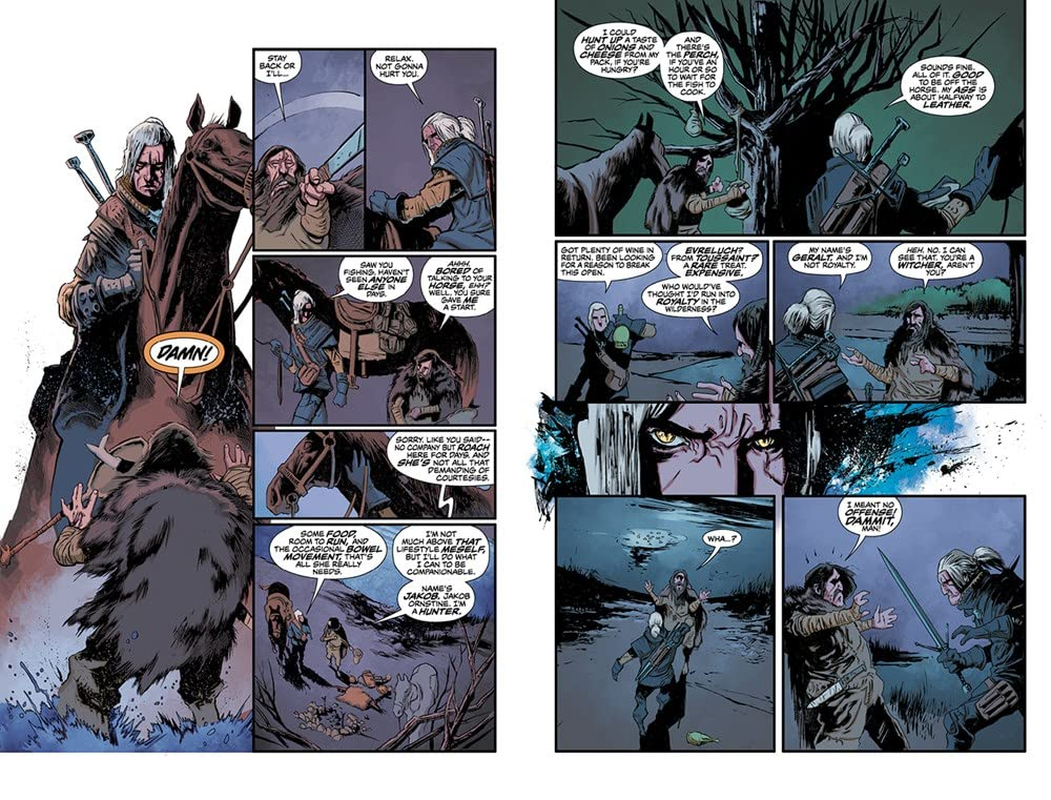 The Witcher Omnibus image number 5