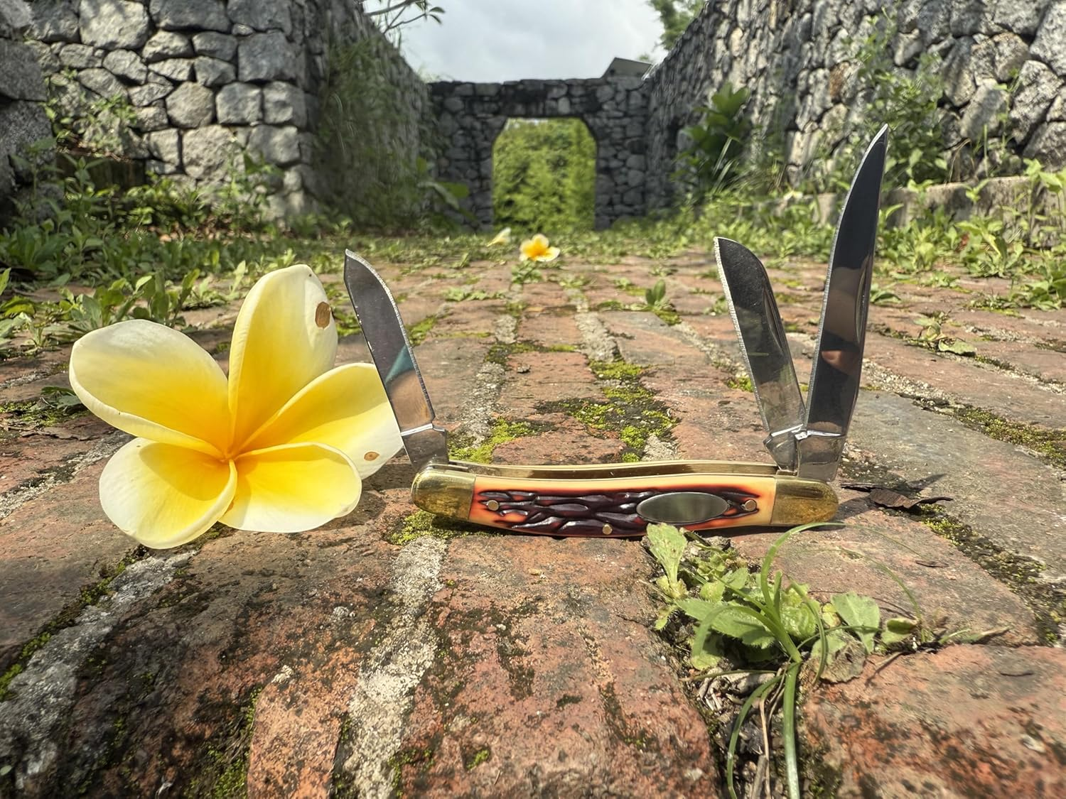 Dxzephious 440 Stainless Steel Folding Pocket Knife Outdoors Manual Knife,8.9Cm Overall,6Cm Stainless Steel Blades,Hunting,Camping image number 5