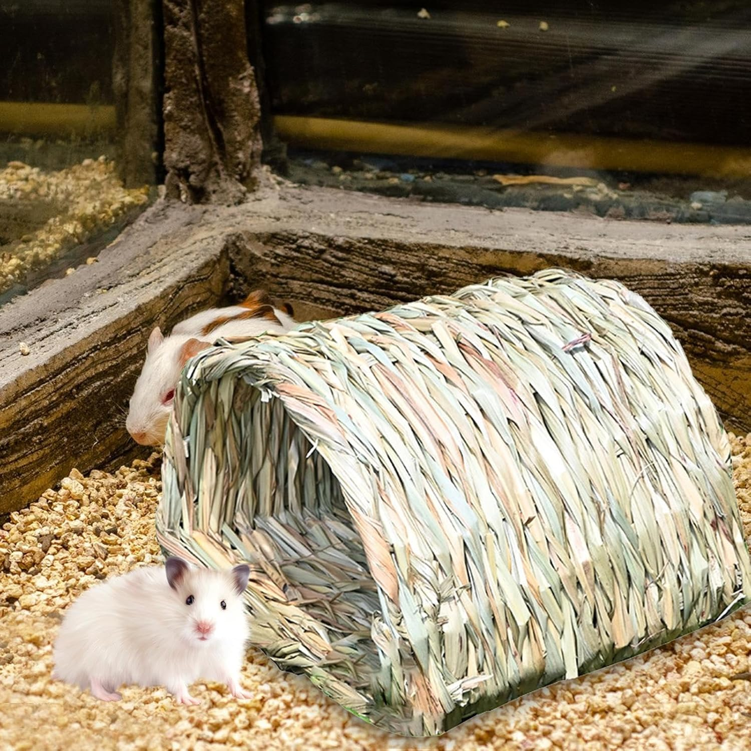 Bed Hideaway, Hedgehog Animal House, Spacious Hay Tunnel, Natural Reed Grass, Cozy Chewable Design, 9.05X7.48X6.69Inch, Perfect for Small Pets Necessities image number 1