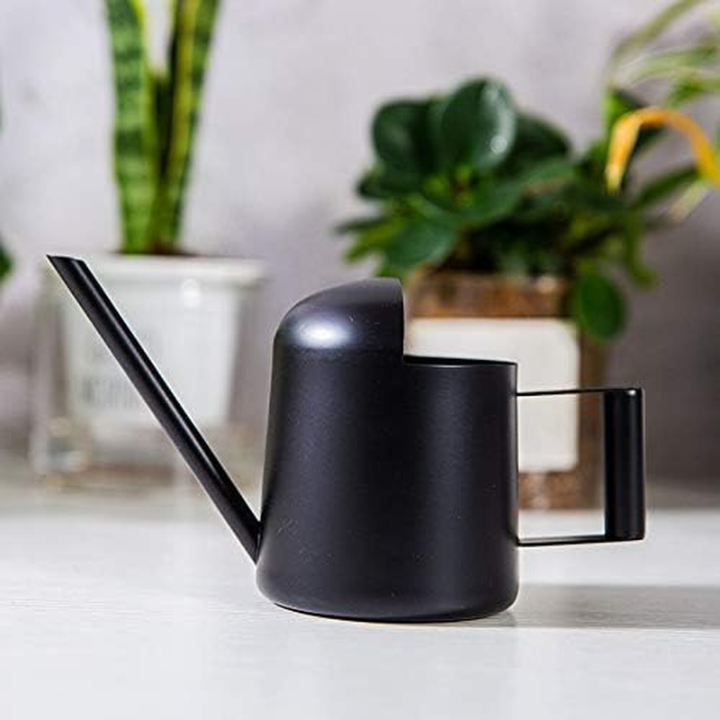 Mini Watering Can, 10Oz/300Ml Stainless Steel Long Spout Sprinkling Pot Small Watering Can for Plants, Garden Watering Pot for Indoor Outdoor Flowers, Succulents (Black) - Green image number 2