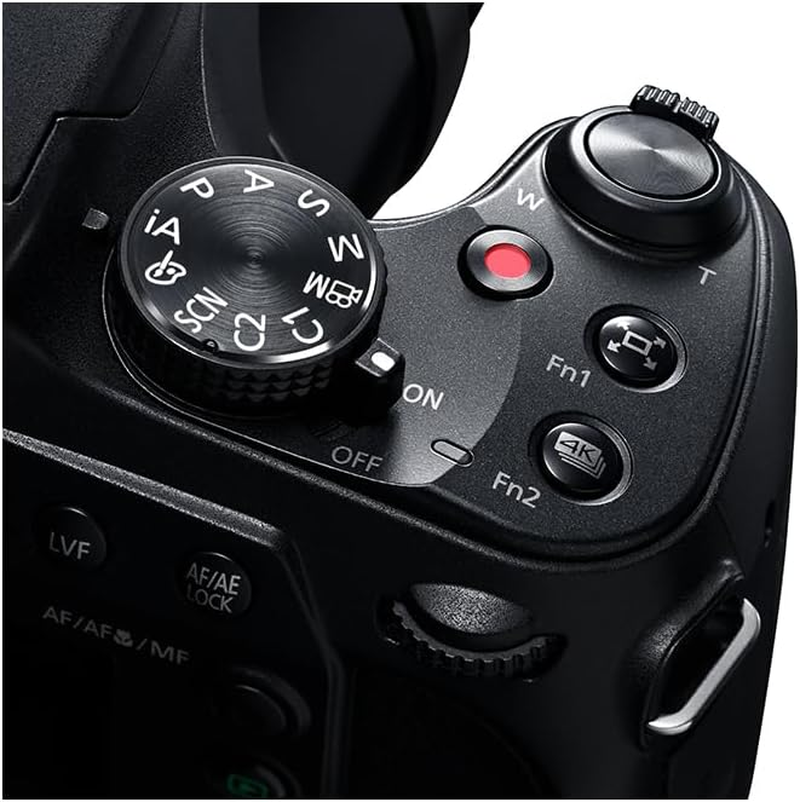 Panasonic LUMIX Compact Bridge Camera, 18.1MP 60X Zoom 4K Photo with 20Mm Wide-Angle Lens, (DC-FZ80DGN-K) image number 6