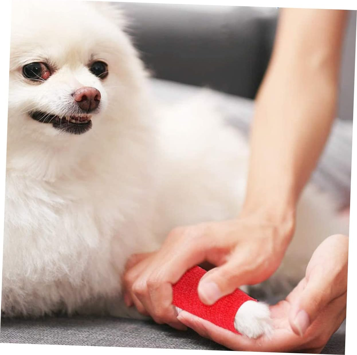 KOMBIUDA 3Pcs Non-Woven Self-Adhesive Elastic Wrap for Pets Compression Tape First Aid 5Cm X 4.5M Black Blue Red image number 1