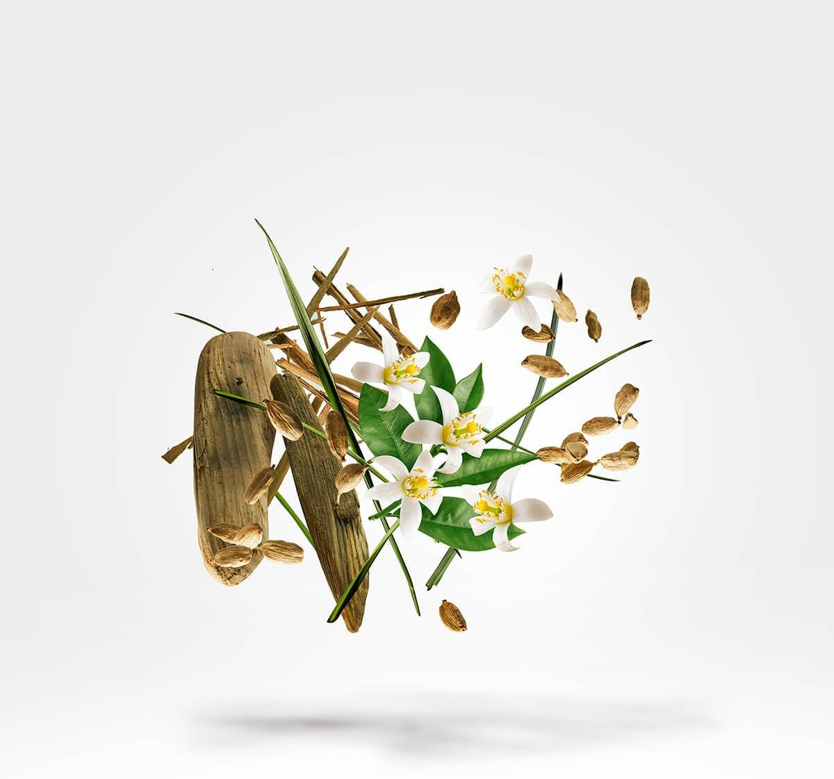 Xerjoff Nio Eau De Parfum Spray for Men 50 Ml image number 3