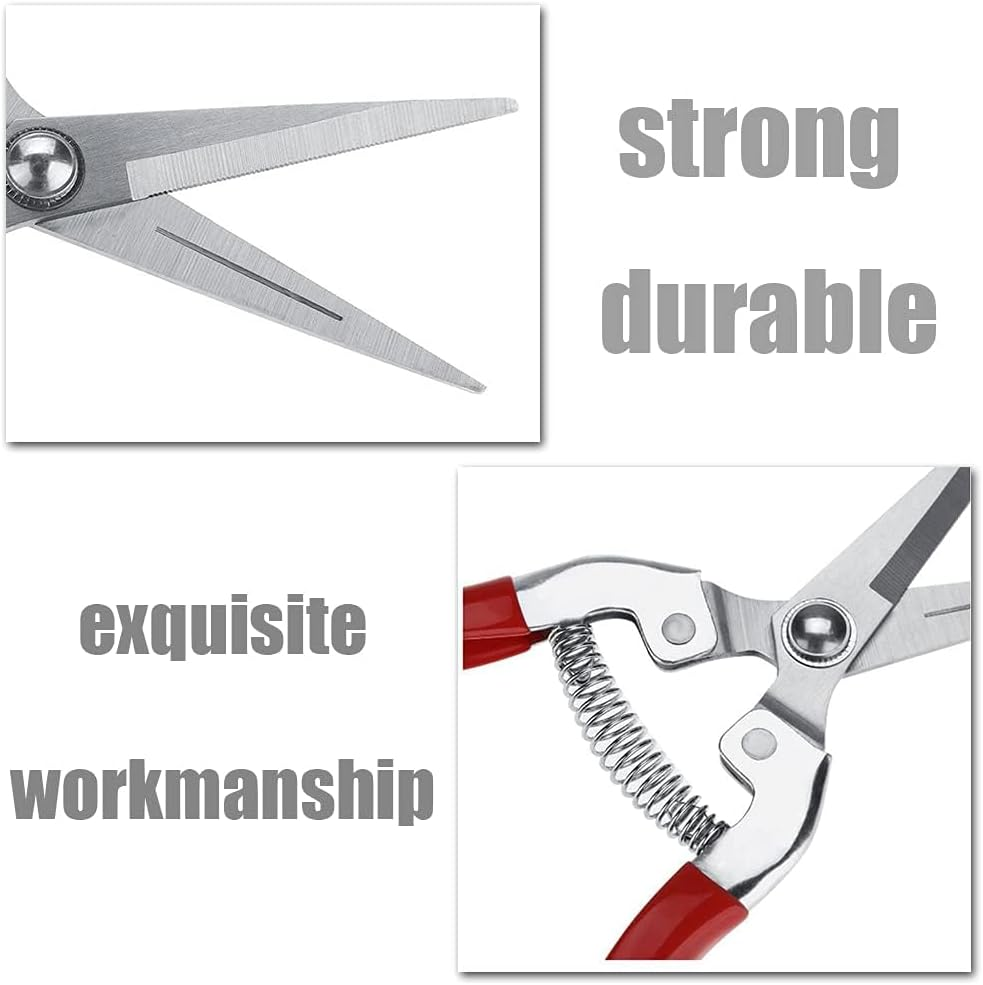 2 Pcs Sturdy Pruning Shear Garden Scissors Gardening Snips Professional Micro-Tip Pruning Tool for Arranging Flowers, Trimming image number 1