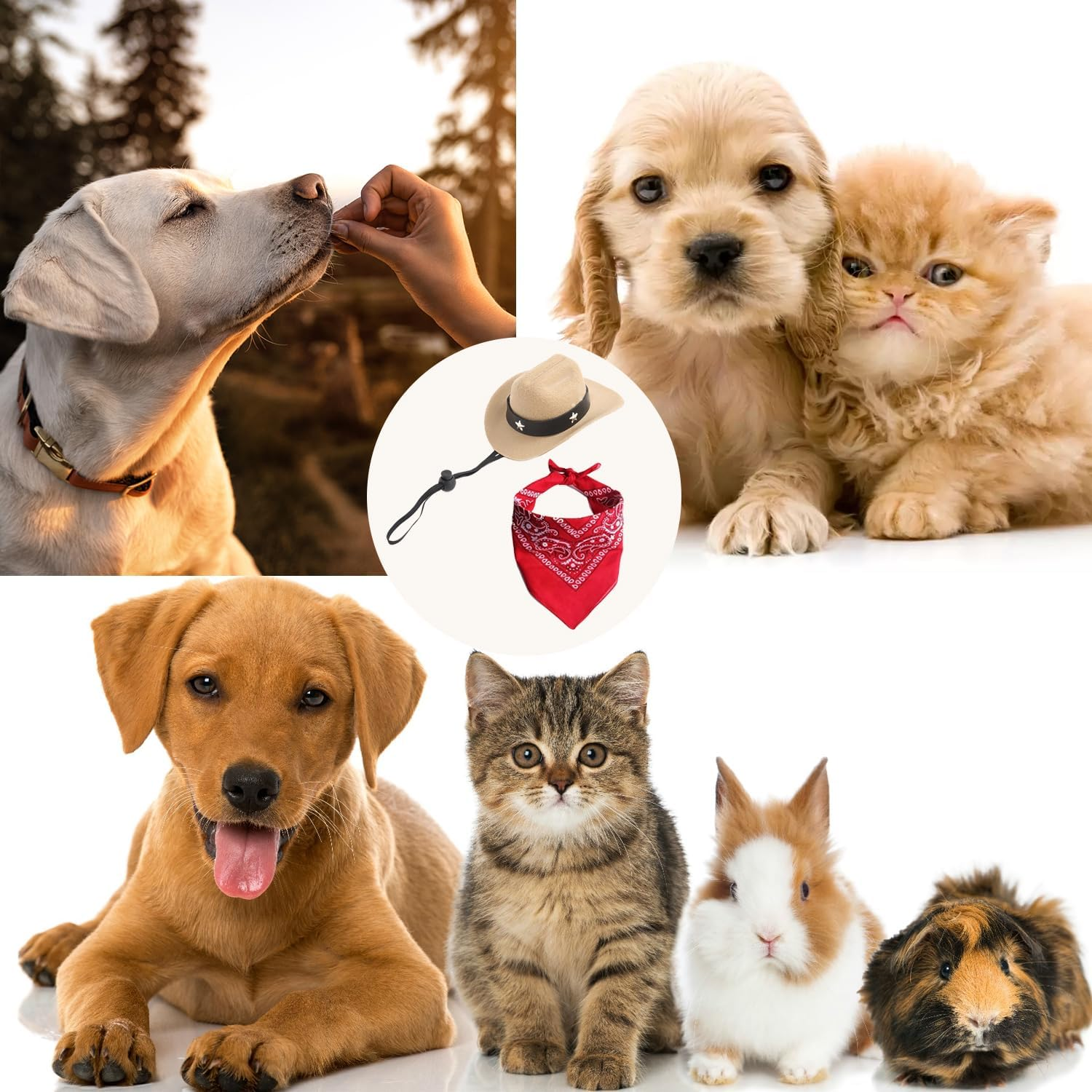 2 Pices Dog Cowboy Hat, Pet Dogs Cowboy Costume Hats, Pet Party Cowboy Hat, Western Dog Cowboy Hat, for Puppy Kitten, Pet Party Festival and Daily Wearing Decoration image number 1