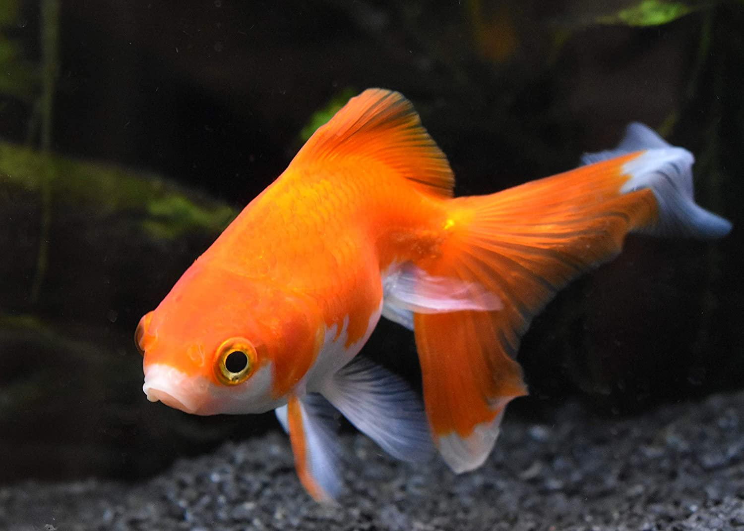 Seachem Replenish, 500Ml image number 5