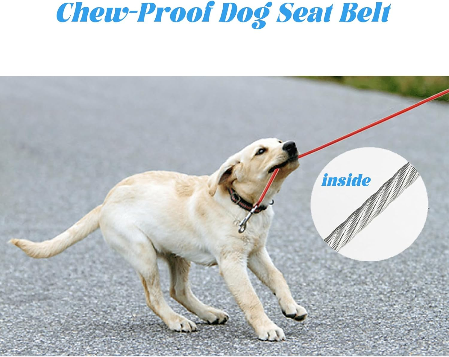 Car Harness for Dogs, Chew Proof Coated Steel Rope, Car Seat Belt with Double Clips and Buckle, Dog Chain, Leash, Vehicle Harnesses for Small Medium Large Dogs, Black And image number 5