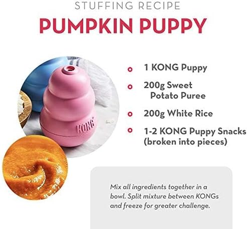 KONG - Snacks - All Natural Dog Treats (Best Used with KONG Puppy Rubber Toys) - Puppy Biscuits - for Small Dogs image number 1