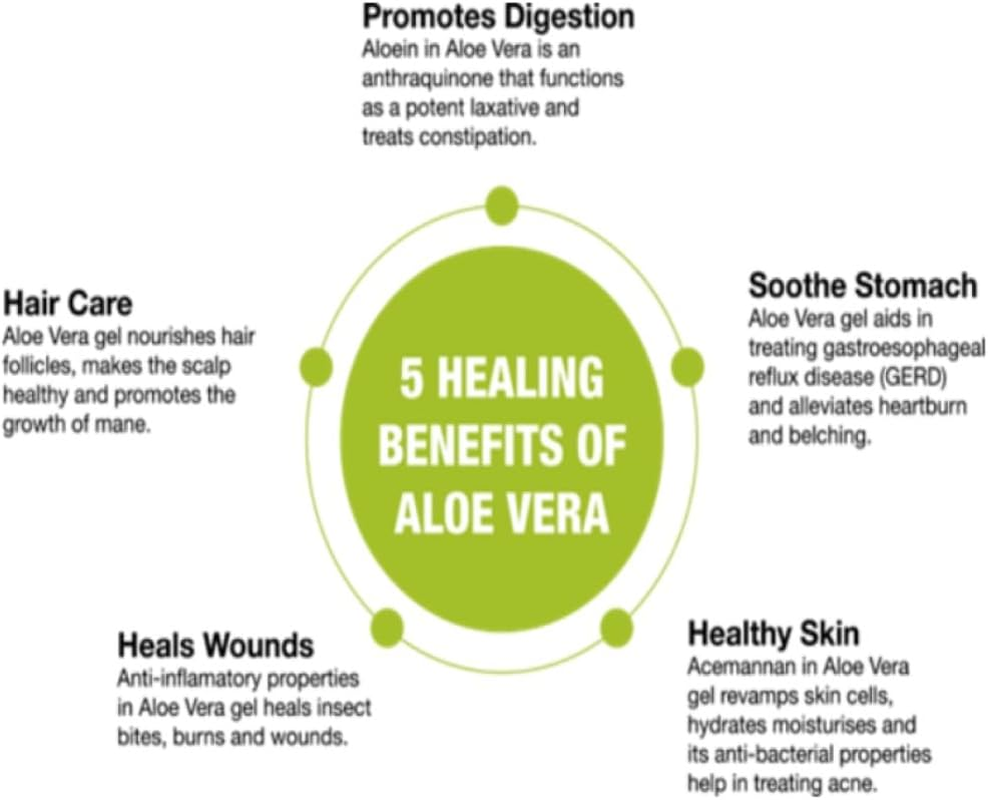 Aloe Vera Immune Boost Juice G/F 1L