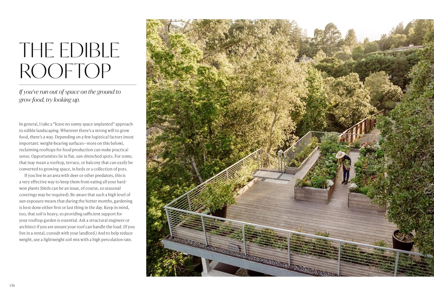 Food Forward Garden Design: a Complete Guide to Designing and Growing Edible Landscapes image number 2