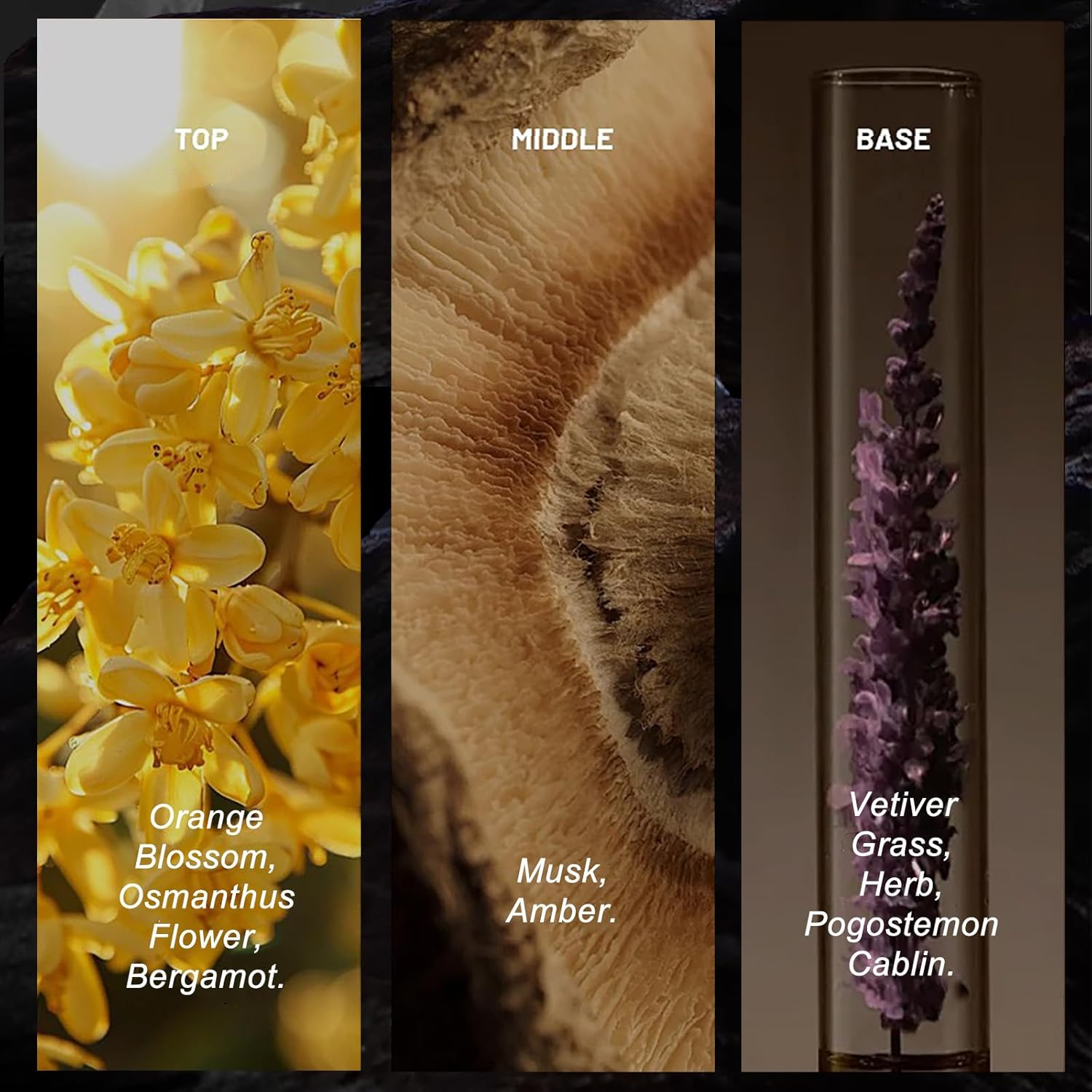 WK JALY Eau De Parfum for Men, with Notes of Bergamot, Woody, Rosemary, Men'S Cologne Perfume, Long Lasting Scent, 120Ml/4 Oz image number 1