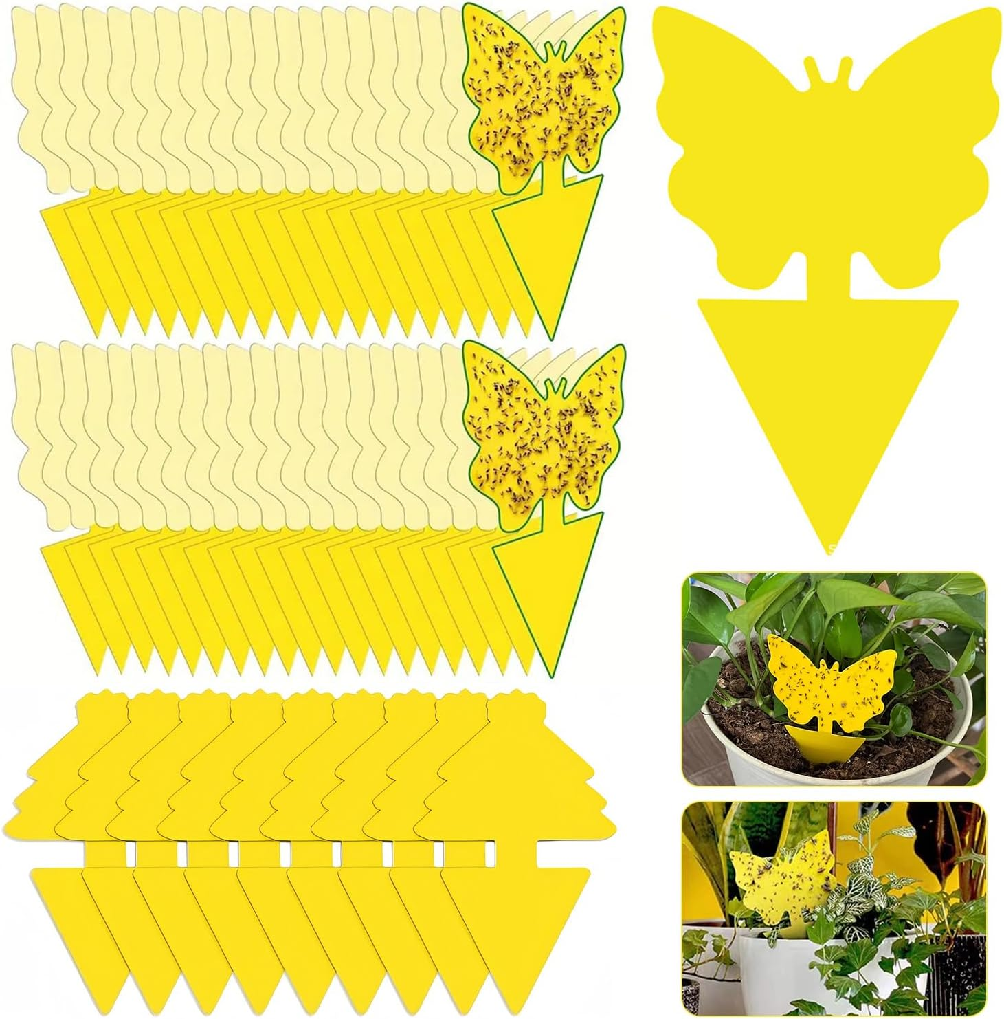 60 PCS Sticky Traps, Gnats Fruit Fly Traps, Butterfly & Christmas Tree Dual-Sided Sticky Insect Catcher for Fungus Gnats Whiteflies Mosquitos Aphids Leafminers Flying Insects, Indoor and Outdoor Use image number 5