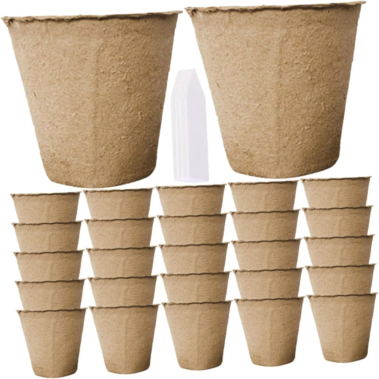 Parliky 1 Set Seedling Paper Cup Mini Pots for Plants Biodegradable Pulp Germination Cups Gardening Supply Nursery Plant Pots 8Cm 50Pcs image number 5